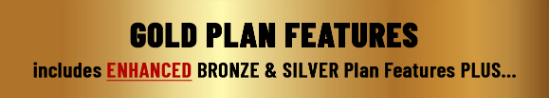 Gold Plan Features Header